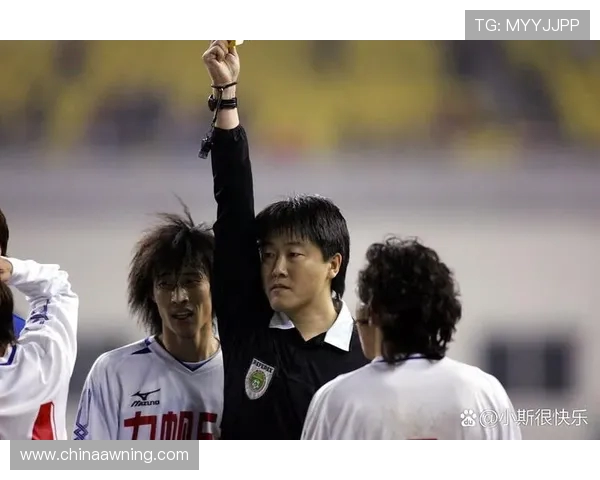 体育明星在退役仪式上的情感表达分析