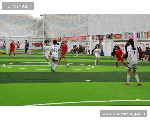 冬季运动会冰面维护技术对室内足球场启示